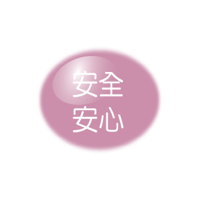 康乃馨特色按鈕 4
