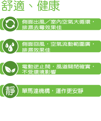 康乃馨特色展示圖 1