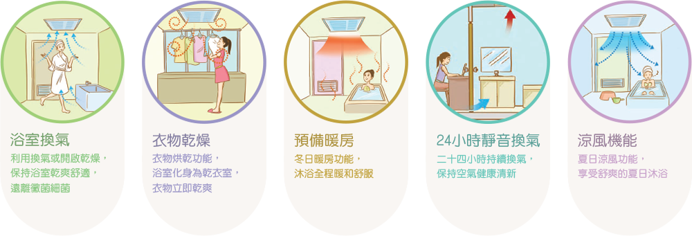 康乃馨五大功能展示圖